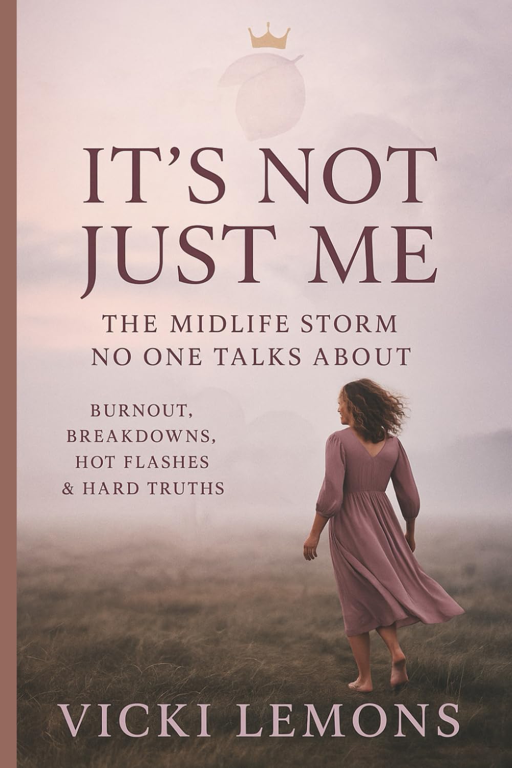 It's Not Just Me: The Midlife Storm No One Talks About: Burn Out, Breakdowns, Hot Flashes and Hard Truths