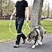 Wagtime Club Double Handle Dog Leash, 6ft Long Heavy Duty Dog Leash with Paded Traffic Handles for Extral Control and Training, Dual Handles Leads, Large Medium Small Dogs (Neon Green)