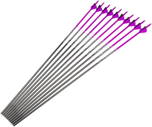 Miniatura 25 de Flechas de caza de carbono de 28 pulgadas 300 340 350 400 espina dorsal de carbono para arco recurvo compuesto práctica objetivo 28 30 pulgadas