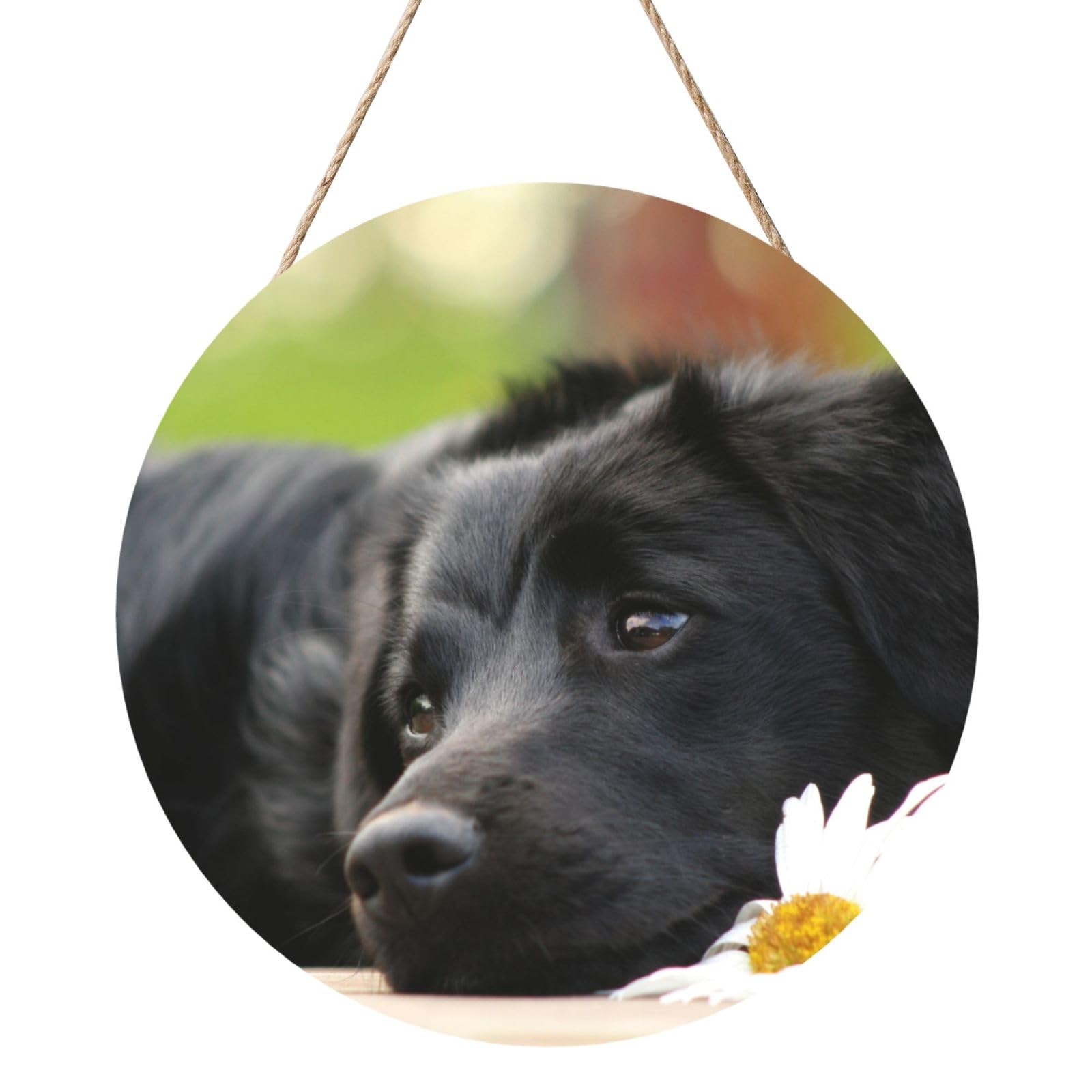 InOmak Black Labrador Chamomile Black Retriever Dogs, Round Wood Panel Painting 12 in, Wall Hanging Painting For Home