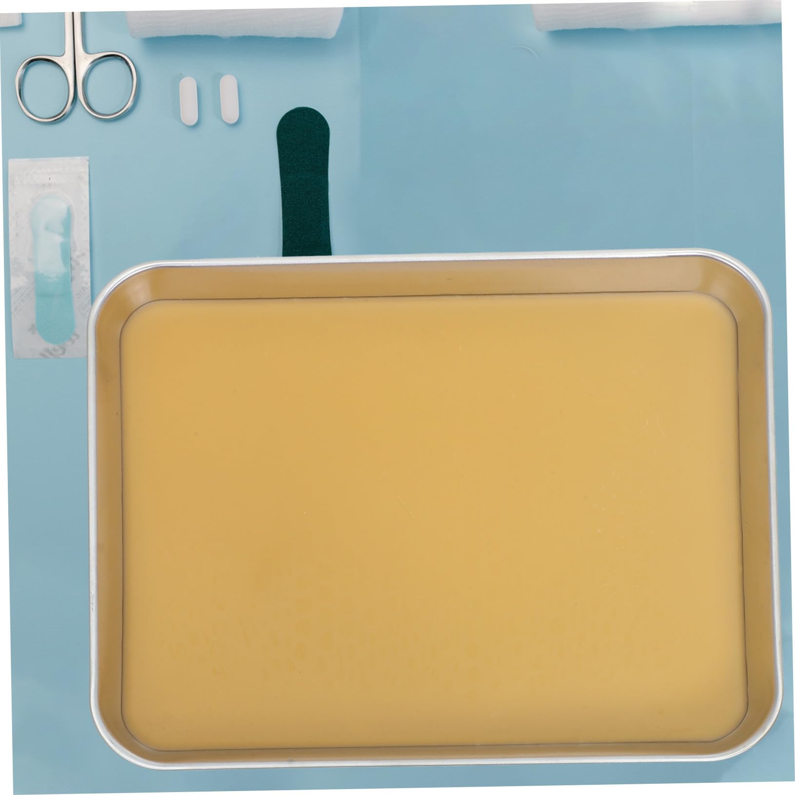 IMIKEYA Plateau De Laboratoire Métal Avec Surface Cirée Pour Dissection Et Observation Échantillons Bord Lissé Pour Sécurité
