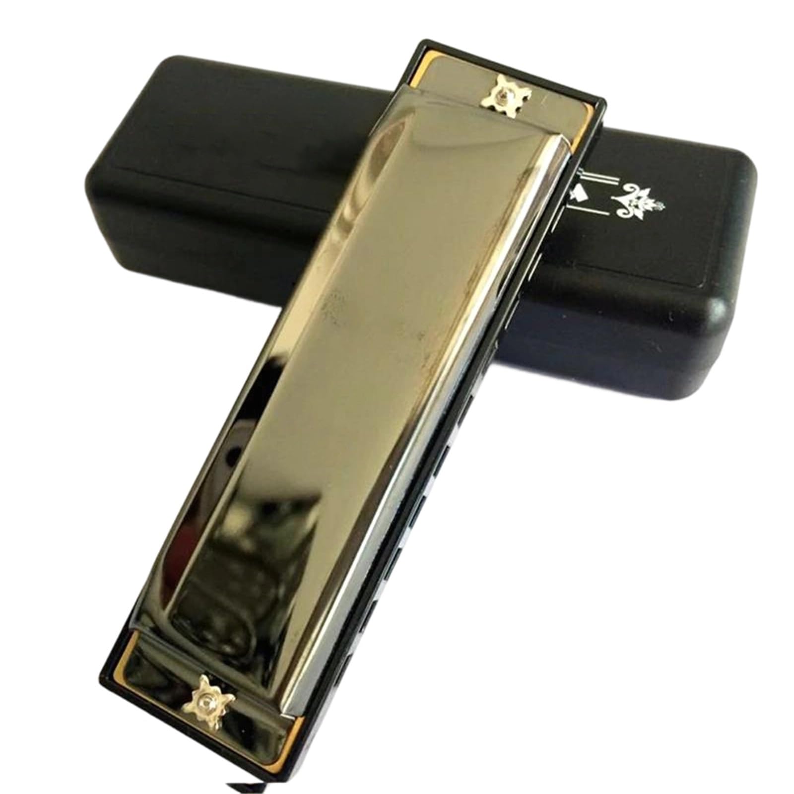Principianti Armonica Armonica A Bocca 10 Fori Arpa Blues Diatonica Strumento A Fiato