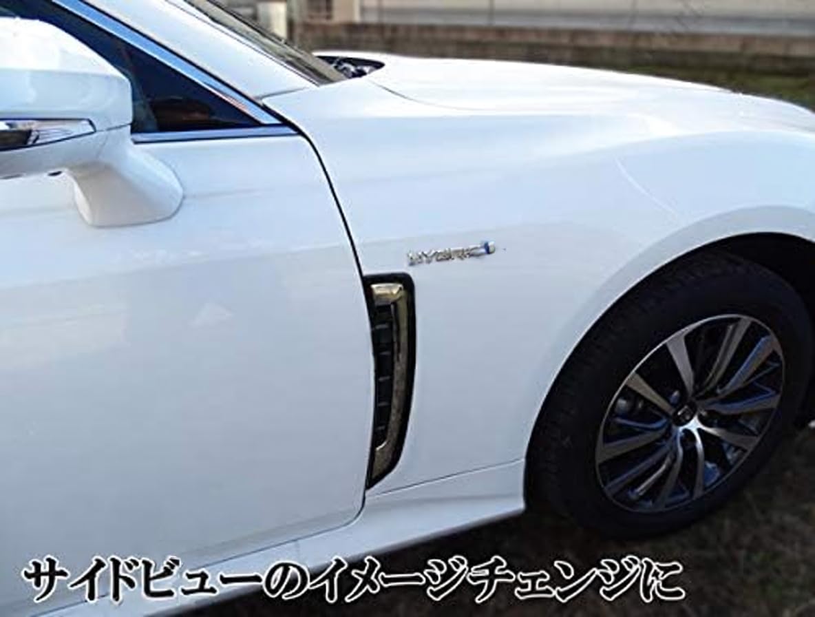 Amazon | RAVIGO サイドフェンダーガーニッシュ クラウン 220系 専用
