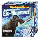 Nachtleuchtendes Skelett zum Zusammenbauen