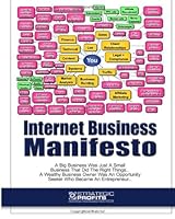 Internet Business Manifesto: Www.Strategicprofits.Com 1441451722 Book Cover