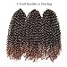 12 Inch Short Passion Twist Hair Marlybob Kinky Curly Crochet Hair For Black Women (6 Bundles 12 Inch, 1b/30#)