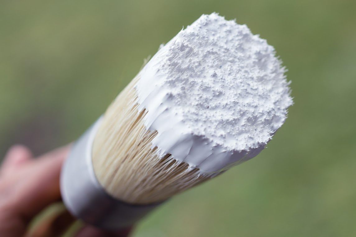 2 Inch Oval Brush | Natural Bristle Applicator | Use for Applying Cream, Paint, Waxing, and Stenciling