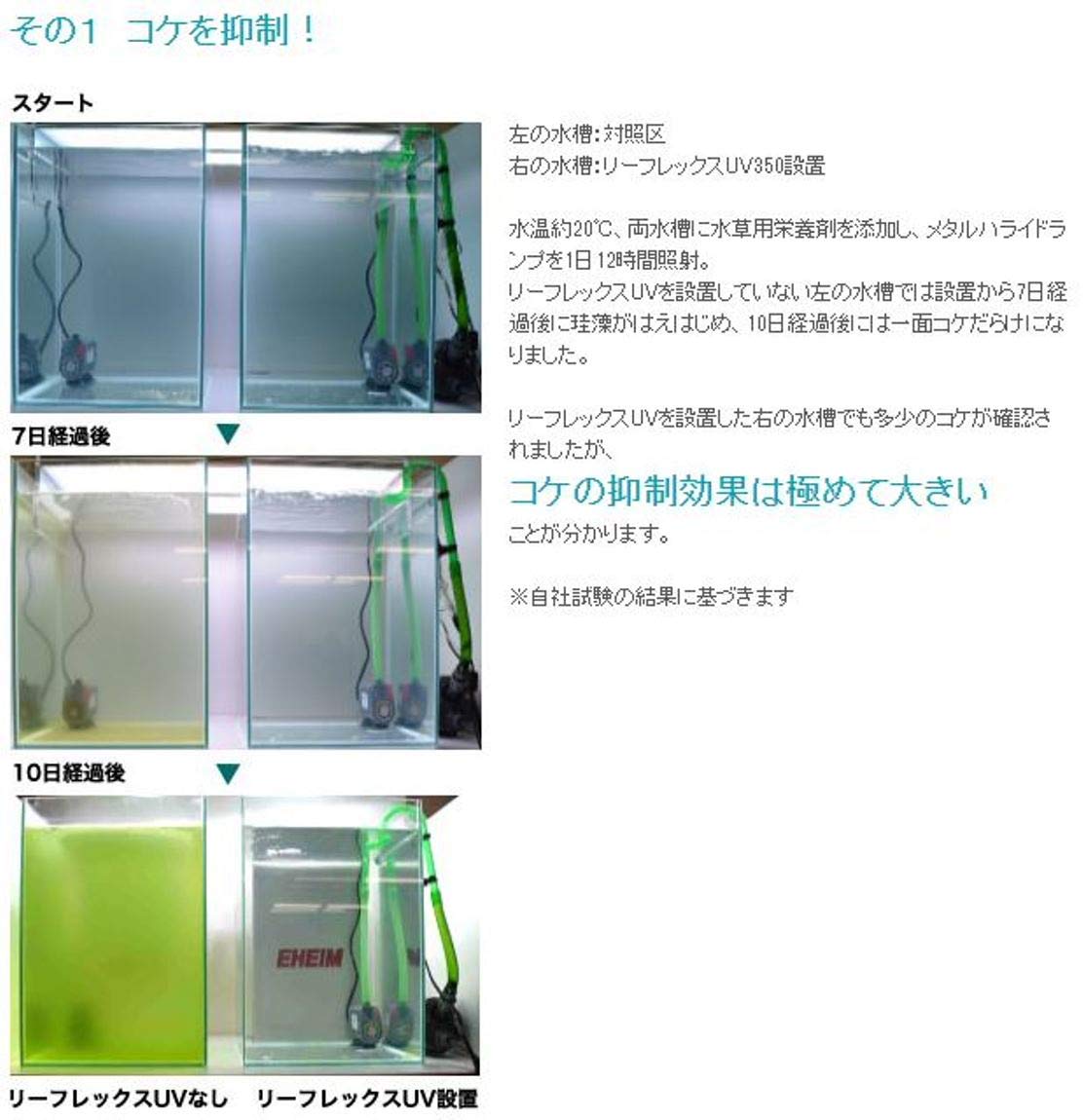 Amazon | エーハイム 観賞魚用紫外線殺菌灯 リーフレックスUV 800 