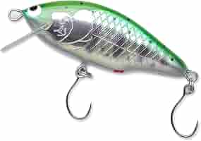 ウッドリーム（WooDream）アルボル50S 5個set 5)WooDream ウッドリーム アルボル 50S ホットコーチ (HCD