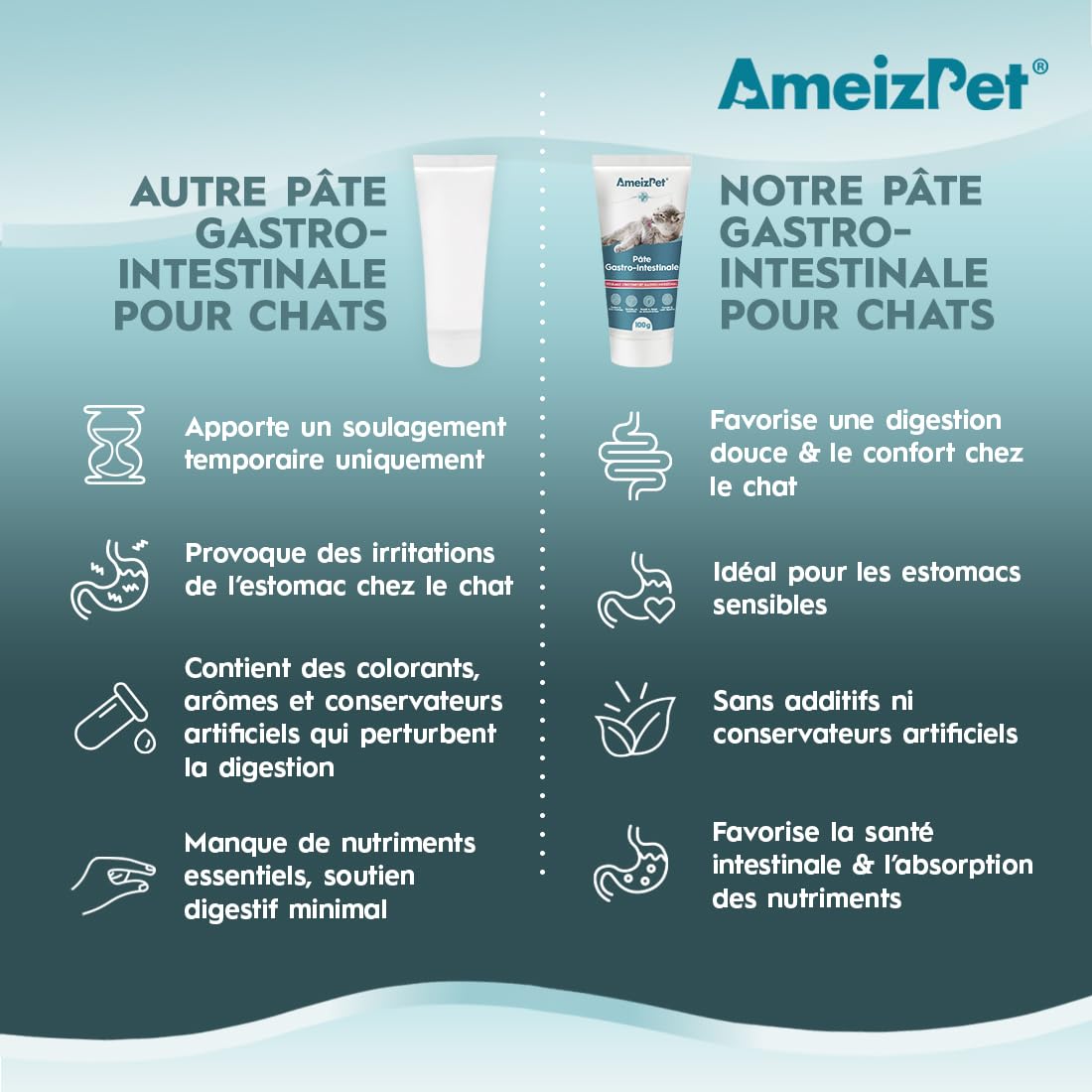 AmeizPet Pâte Gastro Intestinale pour Chats, Soutien Gastro Intestinal pour la Santé Intestinale et la Flore Intestinale, Complément Digestif pour Chats et Chatons, 100 g (3.53 Oz)