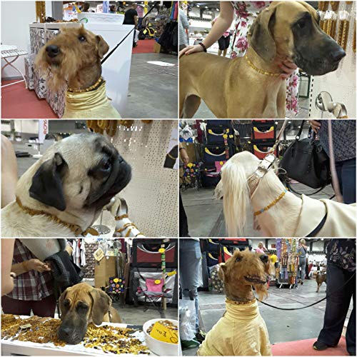 Amber Neck – Bernsteinhalsband für Hunde & andere Haustiere – Handgemacht aus echtem baltischen Bernstein – Echtes Leder – Verstellbar – Geschenkverpackung – Größen 40-45 cm