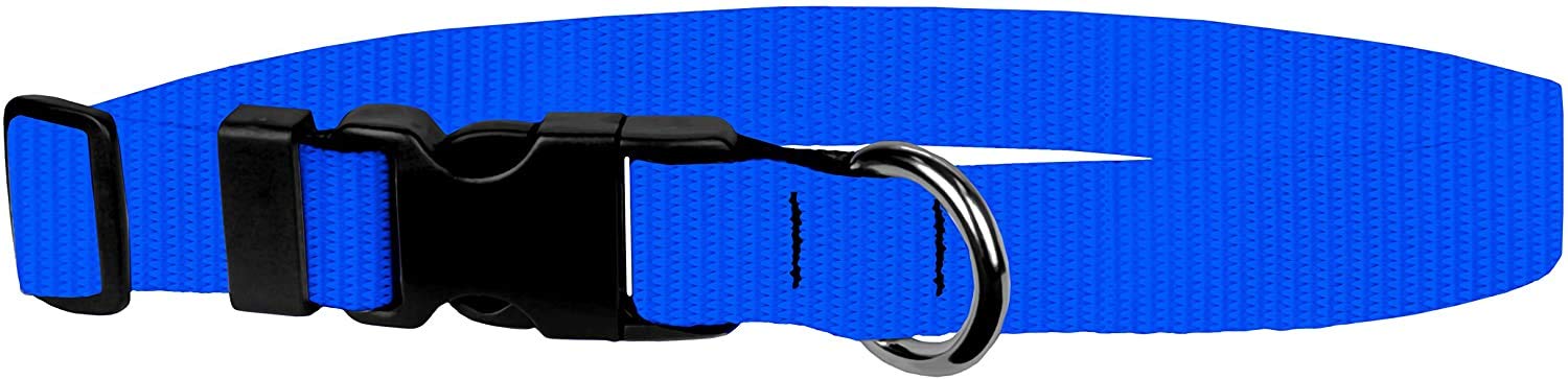 Dog Collar - Colored Adjustable Pet Collars, 3/4 Inch Wide, Medium, Pacific Blue