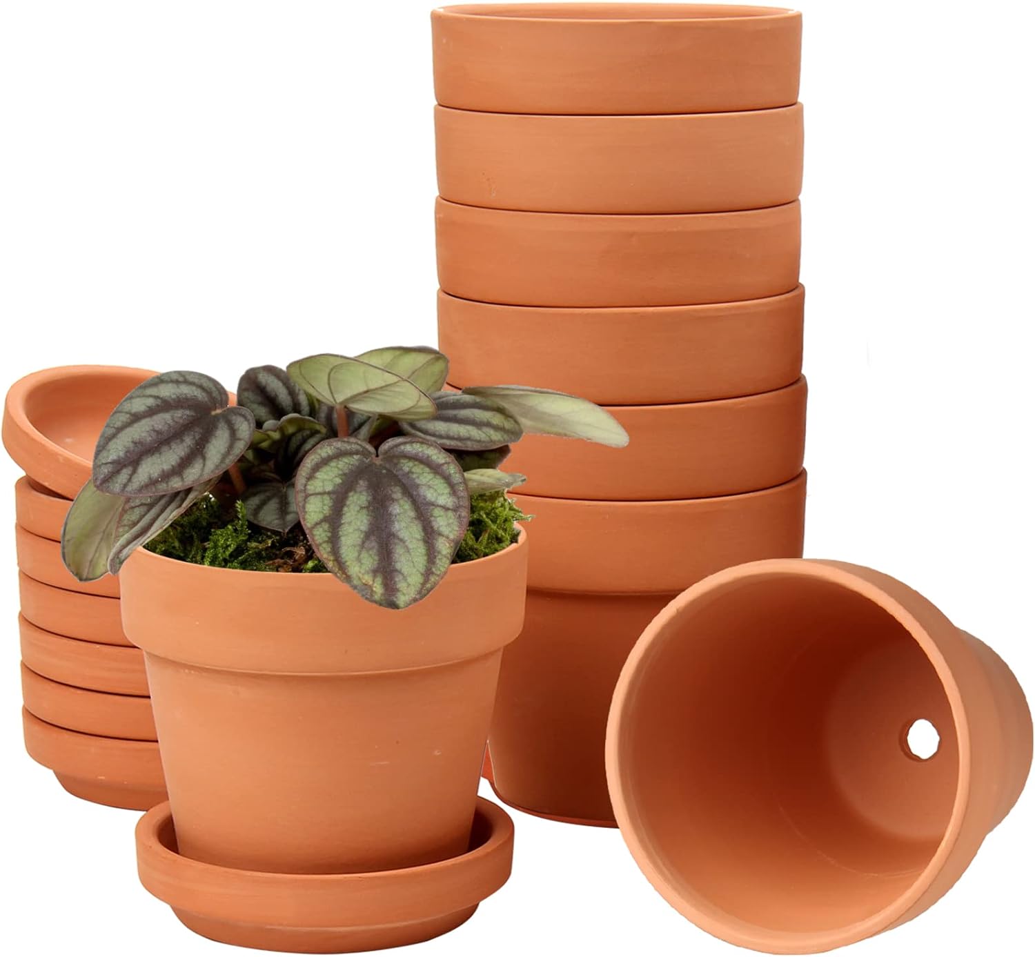 Terrakotta Topfe Klein