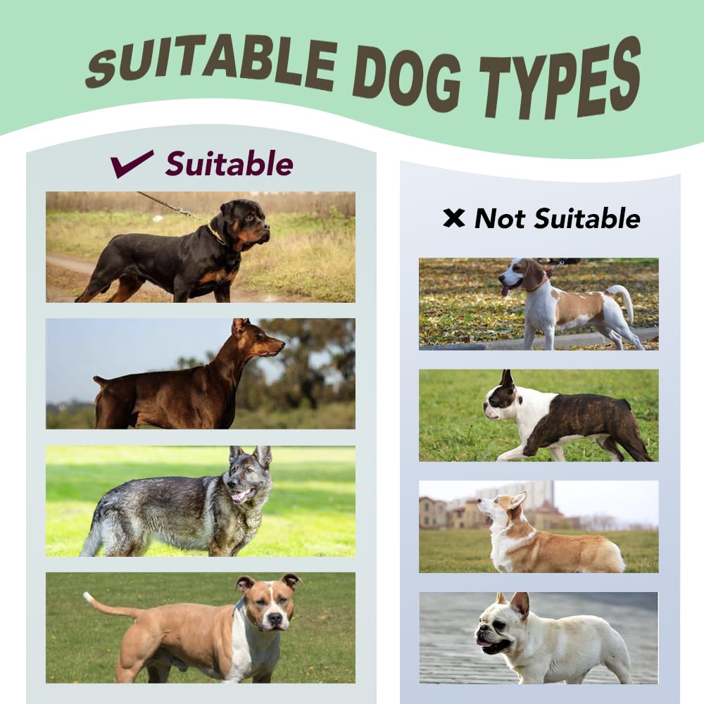 TSPRO Arnés Táctico para Perros No Pull, Alta Resistencia, Ajustable, con Asa y Hebilla de Liberación Rápida, para Perros Medianos y Grandes en Paseos al Aire Libre (Morado M)