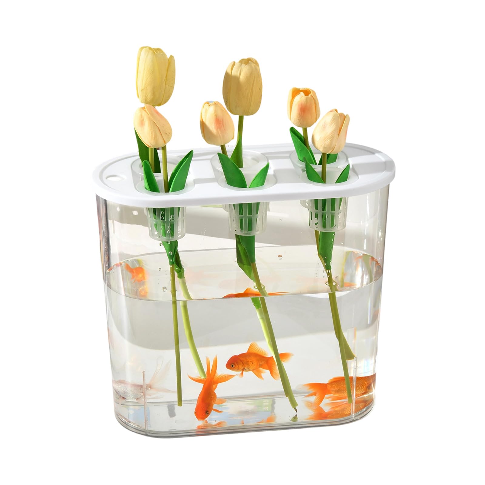 Piceioep Multiple Use Water Culture Box for Hydroponic Tulips Bean Succulents and Various Plant in Homes Gardening Garden Tool
