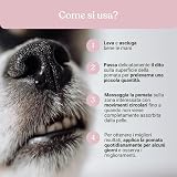 Ver la foto 5