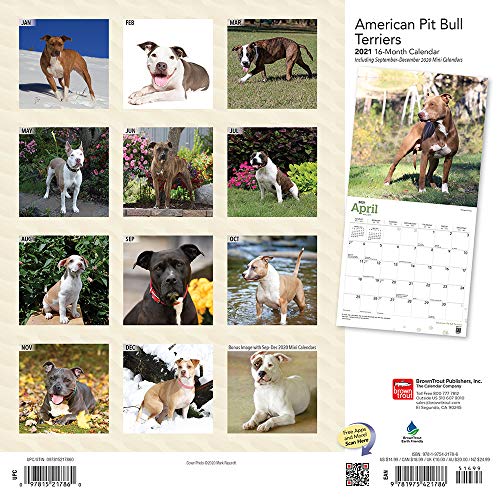 American Pit Bull Terriers 2021 12 X 12 Inch Monthly Square Wall Calendar With Foil Stamped Cover, Animals Dog Breeds #TOP1