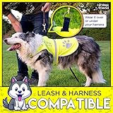 4LegsFriend Hunde Sicherheitsweste mit Leinenbefestigungsring 5 Größen - Hohe Sichtbarkeit für Outdoor Aktivitäten Tag und Nacht, Hält den Hund Sichtbar, Sicher vor Autos und Jagtunfällen (M)