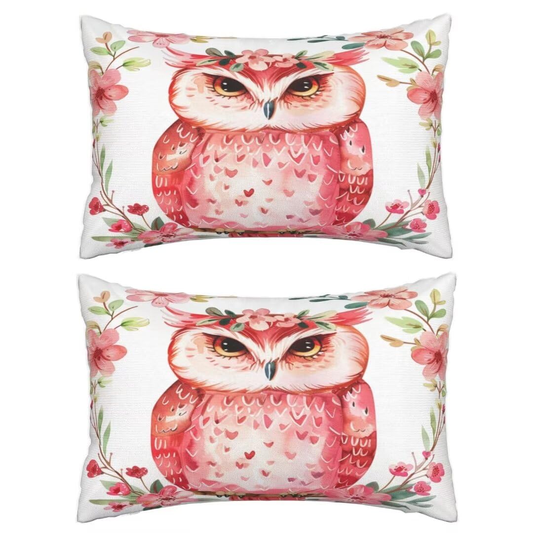 Kissenbezug 60 x 90 cm Niedlich Kissen,Sofakissen Superweicher Kopfkissenbezug Dekorative Kissenbezüge (2er Set) Kissenhülle mit ReißVerschluss Deko Kissen für Couch Wohnzimmer Schlafzimmer Panda J323