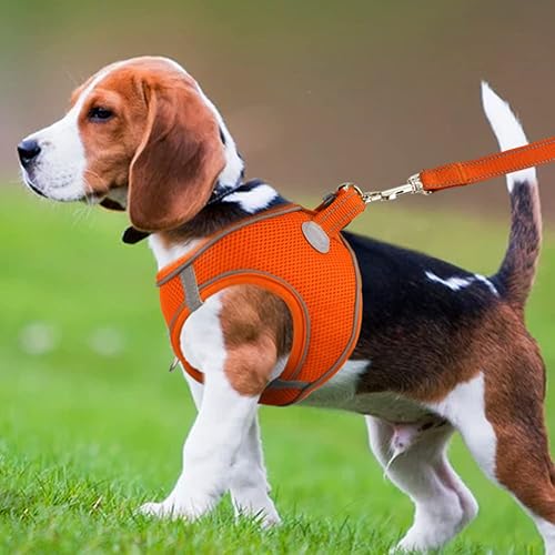 Vista 89 de Joytale arnés para perro, 12 colores, chaleco de malla transpirable, arnés acolchado suave reflectante para perros medianos, negro, XL.