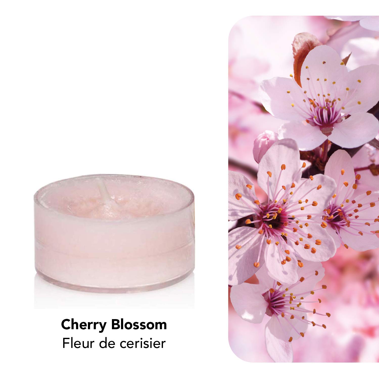 Yankee Candle Tea Light Scented Candles Cherry Blossom 12 Count