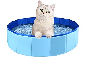 Foldable Small Pet Pool For Your Dog's Enjoyment