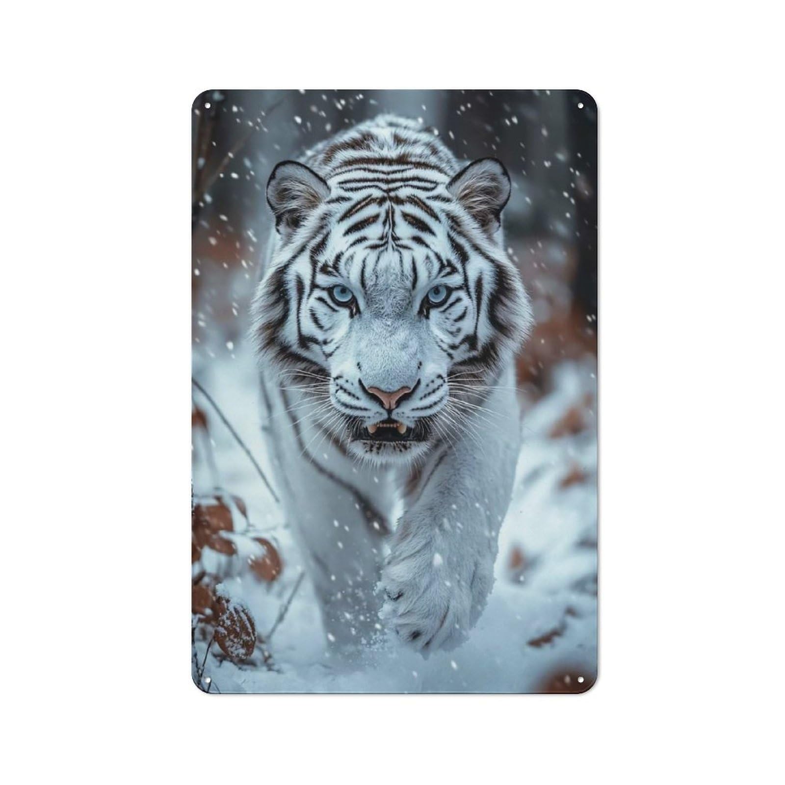 Majestic White Tiger in Snow Vintage Tin Sign 30x20cm for Café Or Restaurant, Suited to Café Owners And Decorators