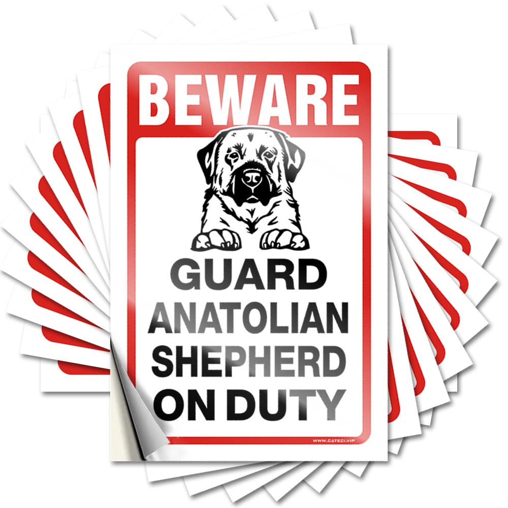Labels Day Bulk Custom Beware! Guard Anatolian Shepherd On Duty Heavy | Girly Car/Adult Signs for Man Cave(12X18CM-6Pcs)