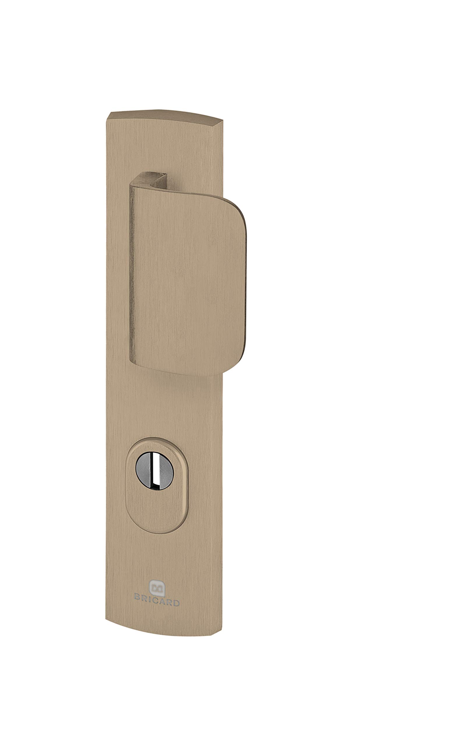 BRICARDEmust 9920091 Set of Shielded Handles on Plate Bicycle Kickstand + Spoiler for Entrance Door (for European Cylinder), Amber