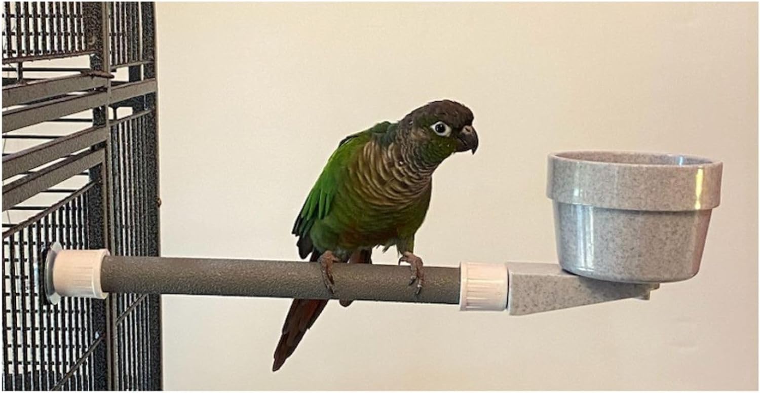 Polly's Mess Less Cups for Your Bird cage-Recommended for All Types of Birds Including Parakeets, Cockatiels, Parrots, Macaws, Cockatoos and More! (Small Long (15" x 3/4"))