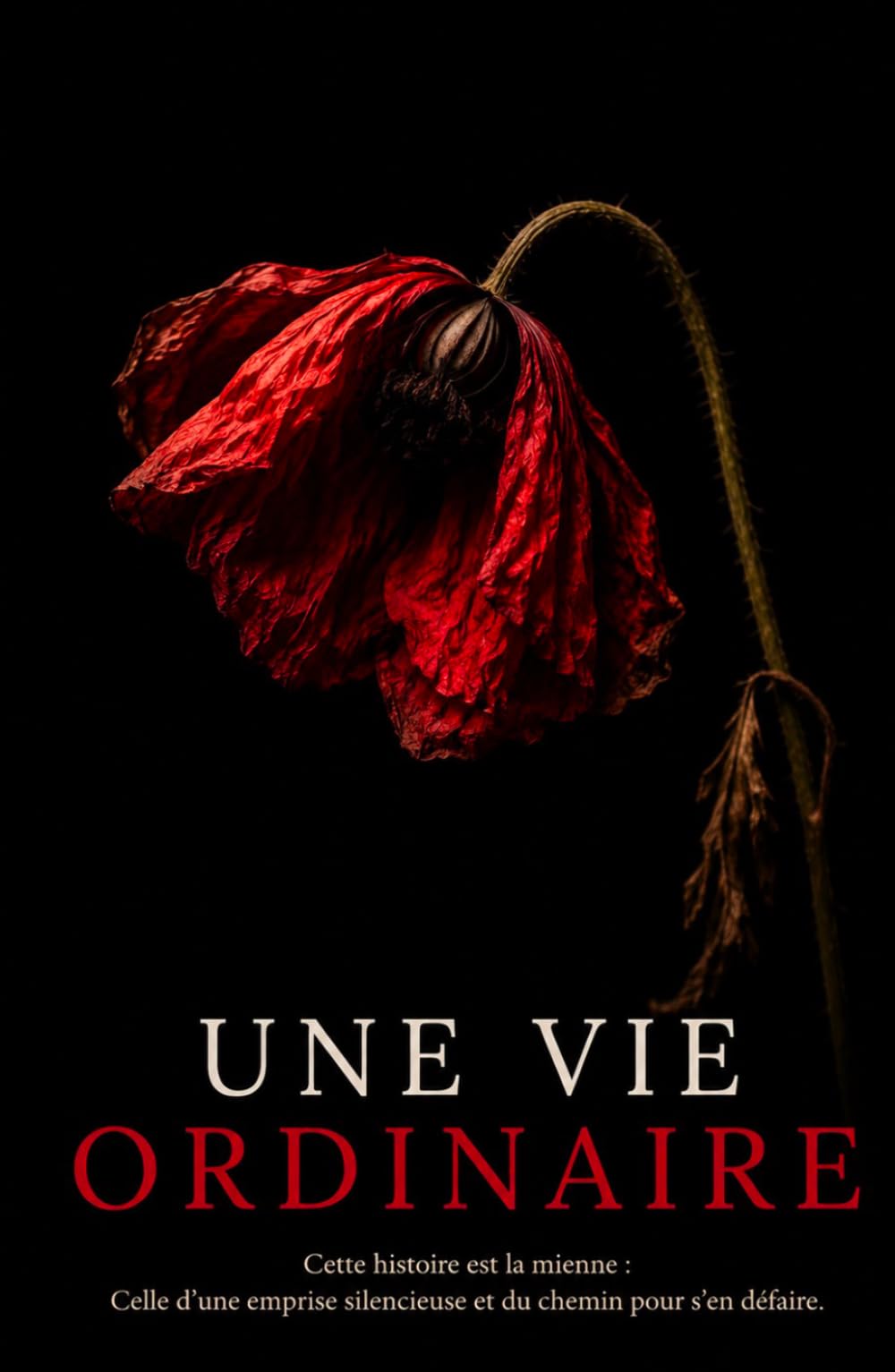 Une vie ordinaire