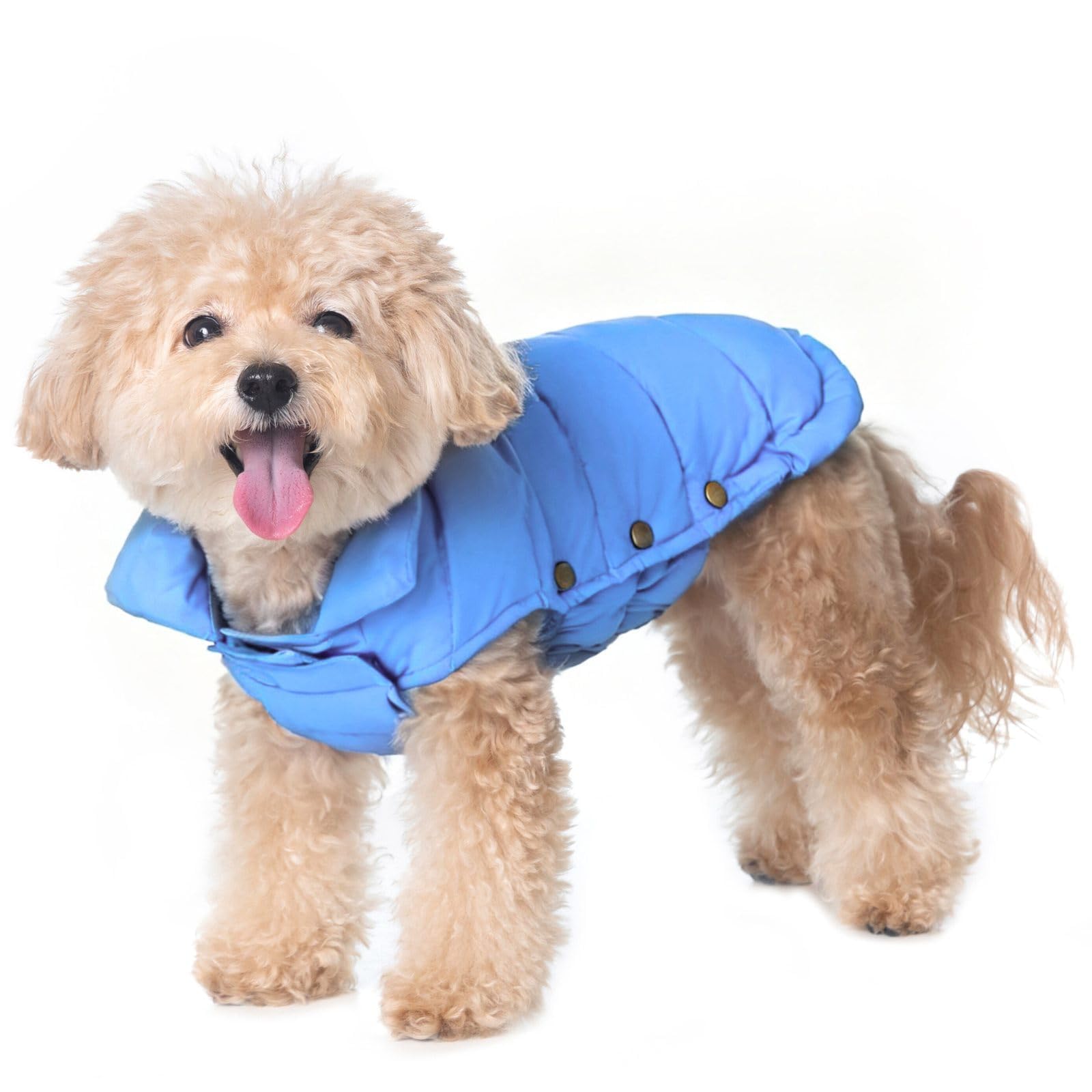 Amazon.com : SPACE LION Dog Puffer Jacket, Down Winter Coat