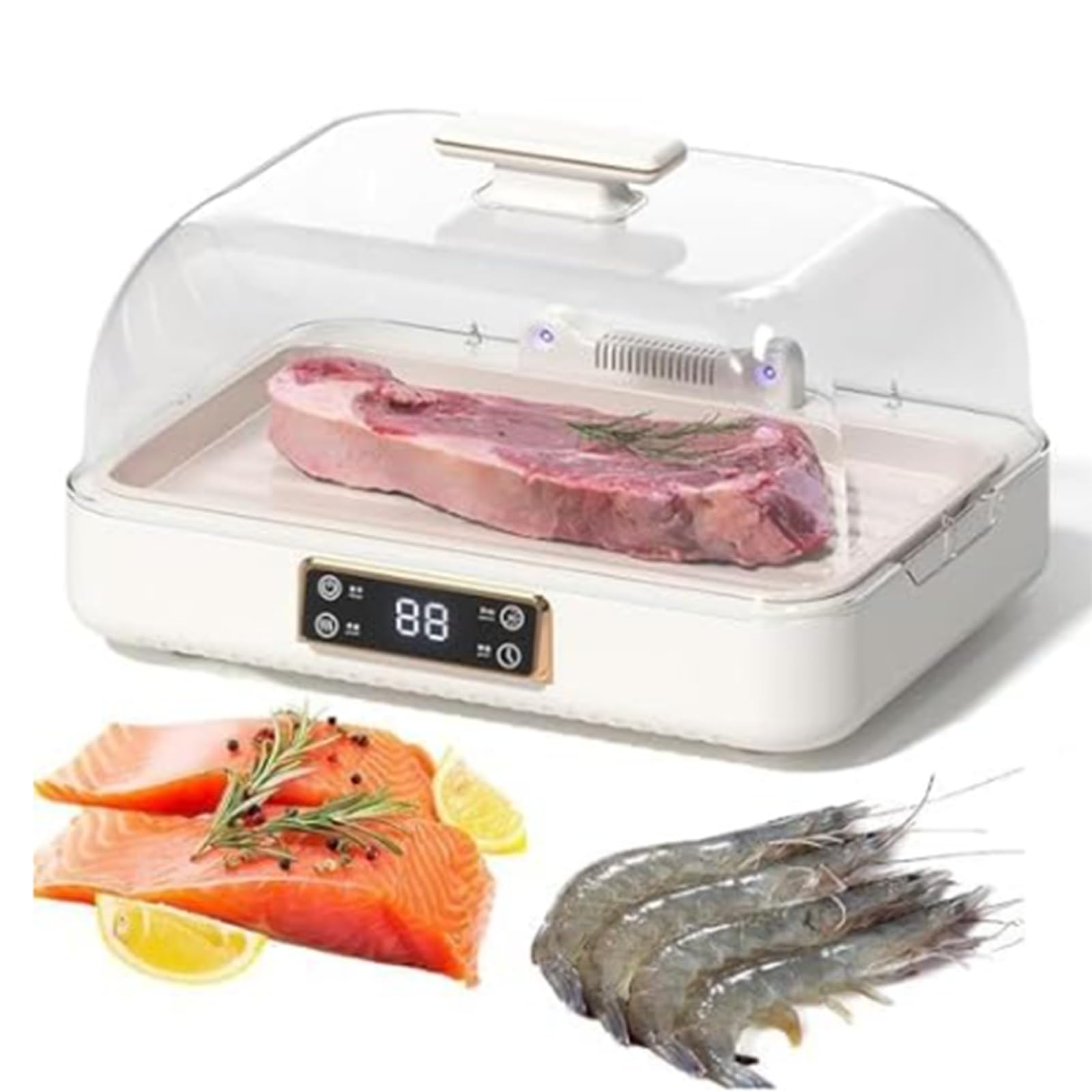 KJZQXYX 220v Electric Meat Defrosting Tray, Rapid Defrosting Plate, Heated and Circulated,for Frost From Frozen Fish and Steaks.
