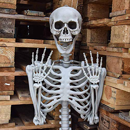 Esqueleto de tamaño Real MIKAMAX 170 cm para resolver dudas de anatomía 7
