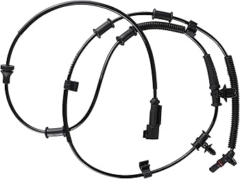 61SIWpxBDfL._AC_UF350,