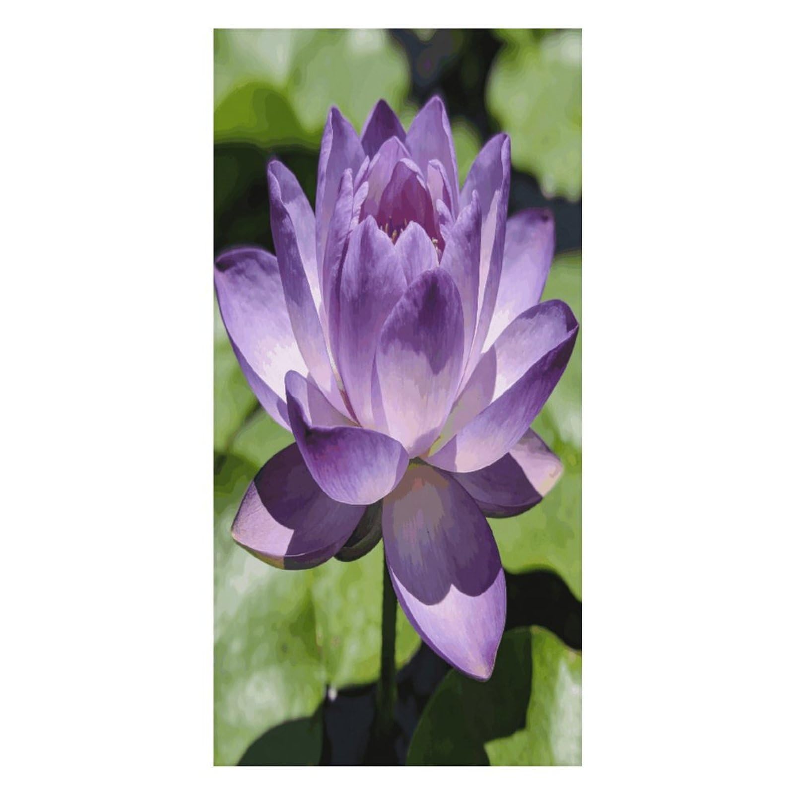 FekiLoot Purple Lotus Beach Towel Oversized Bath Towel Ultra Soft Pool Towel Cozy Swim Towel Silky Lounge Towel Quick Dry Travel Towel Gentle Absorbent Towel for Adults Women Men