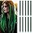 20 Inch Colored Hair Extensions, Party Highlights Straight Colorful Clip In Hair Extensions, Synthetic Rainbow Hairpieces for Girls Kids Gift(10Pcs Green)