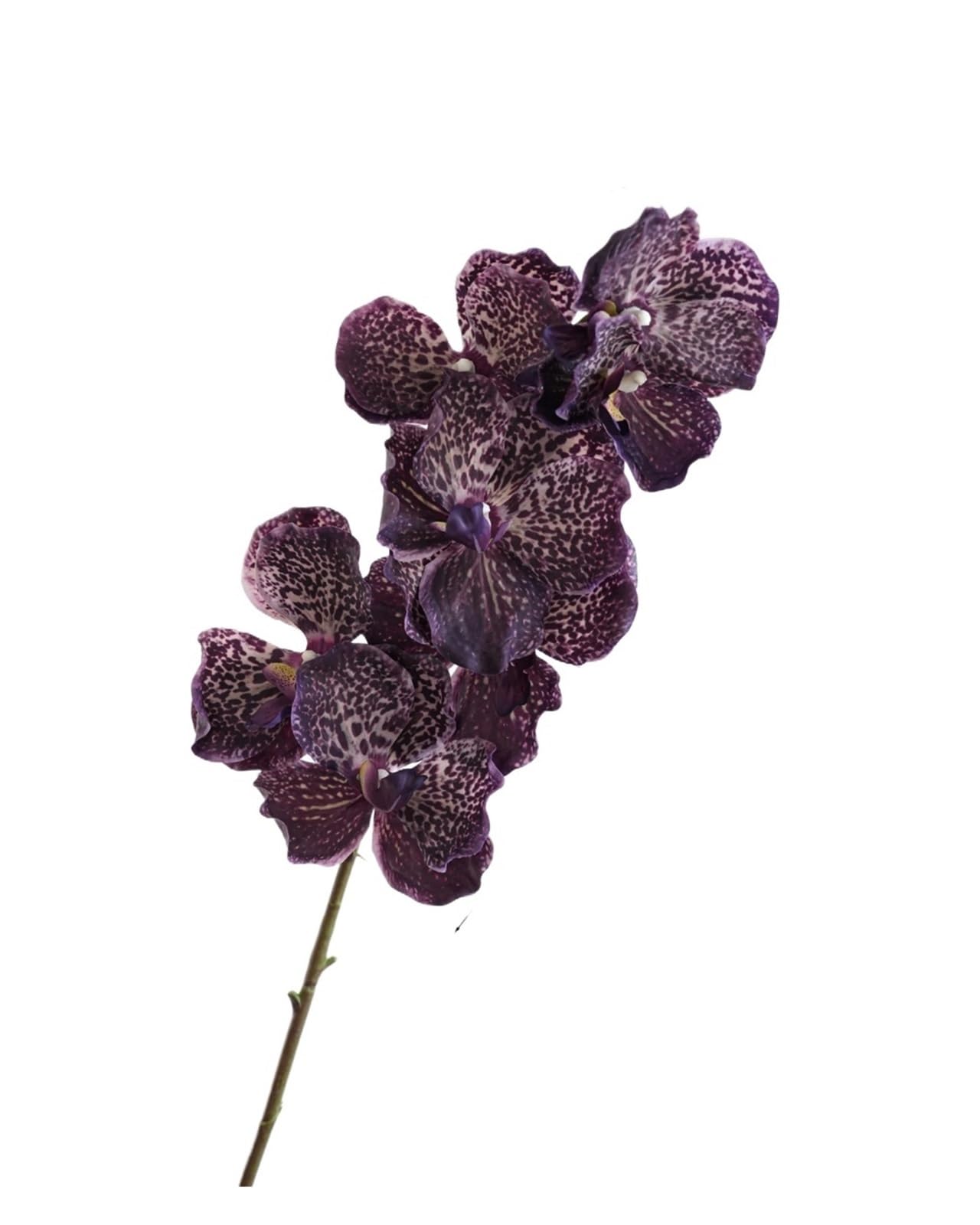 Casetlong 1pc Artificial Flowers Fake Folral Arrangement Decorative Flower(Deep purple Vanda)