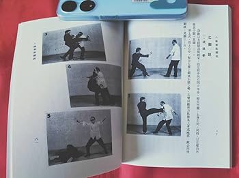 Amazon.co.jp: 中国語書籍 八極拳術図説 劉雲樵 香港 功夫 中国武術