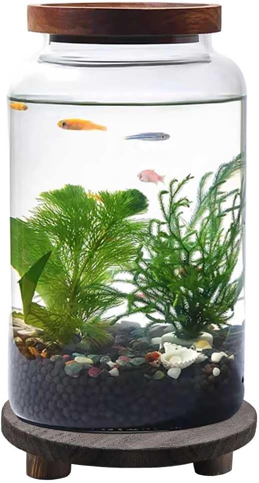 Miniature Landscape Ecological Bottle Glass Goldfish Tank Aquarium, Modern Transparent Glass Aquarium, Wooden Base, Suitable for Hydroponic Cultivation of Aquatic Plant Seeds,L