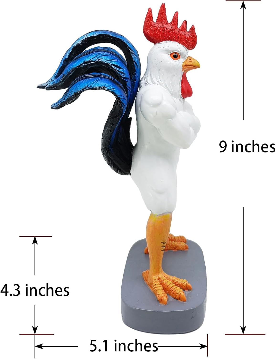 https://m.media-amazon.com/images/I/61SIxFcYmSL._AC_SL1500_.jpg