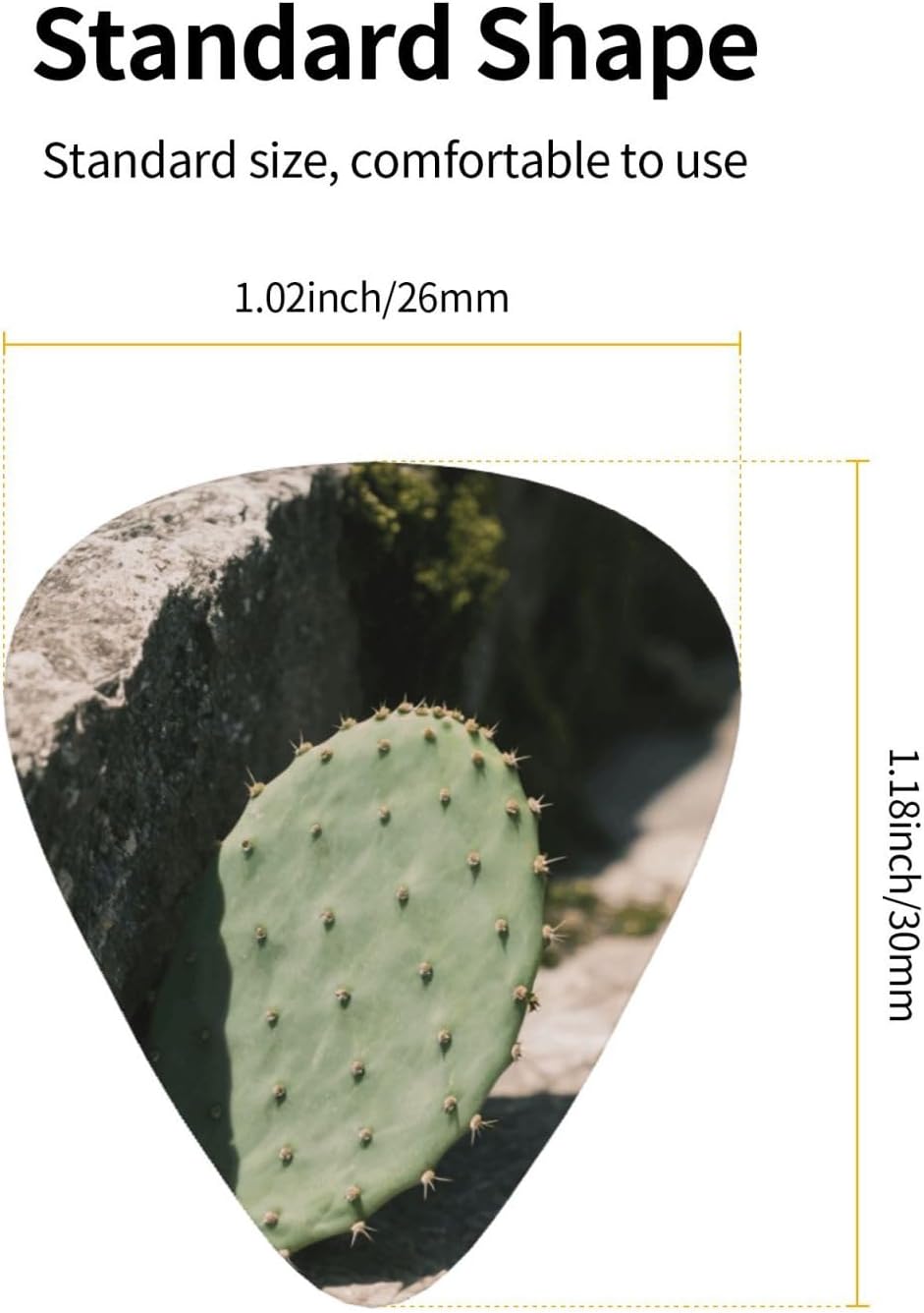 Cactus print Guitar Picks With Storage Box Resistant Guitar Pick 12 Pack Guitar Accessories for Electric Guitar Ukulele Bass Personalized Gifts image 5