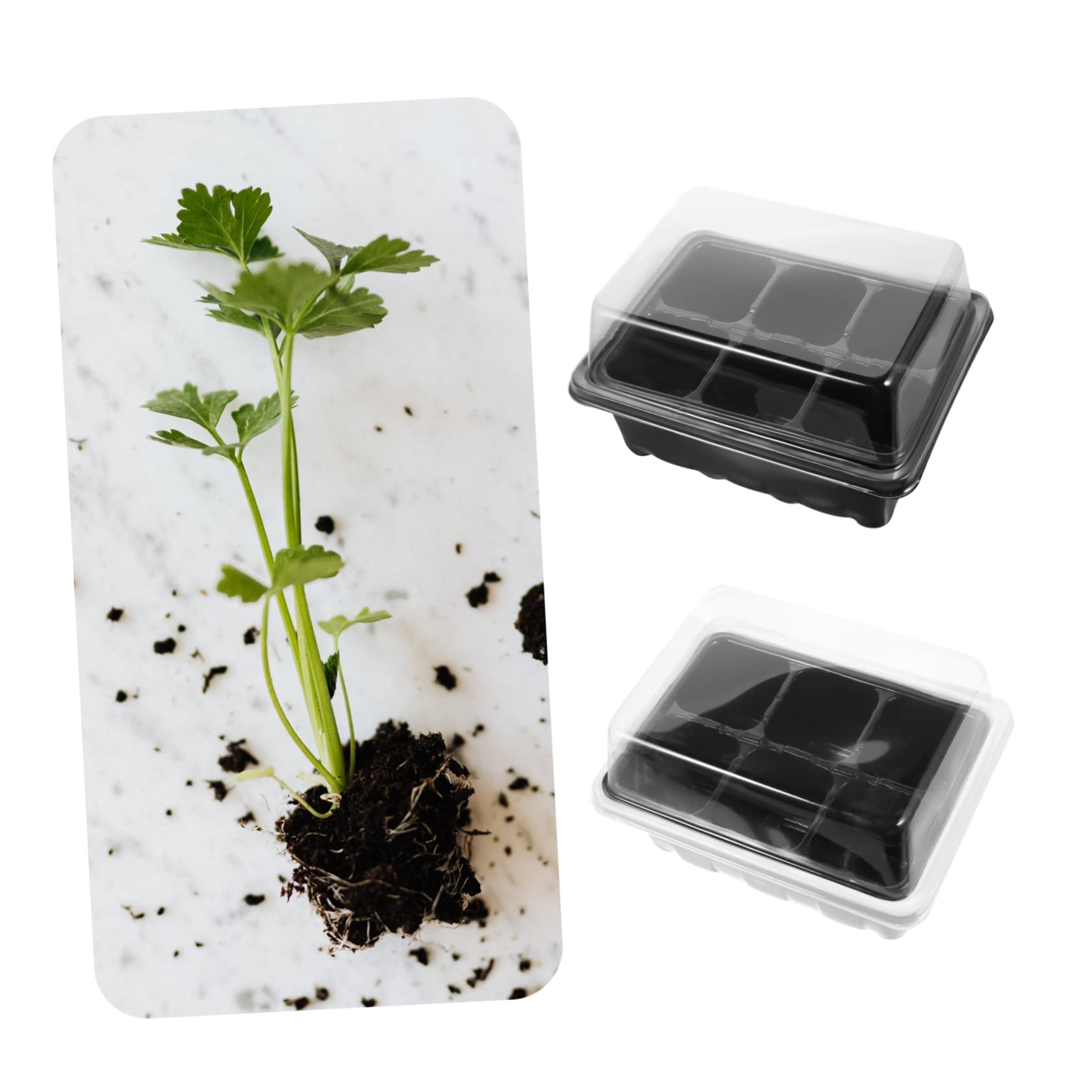 TOYANDONA 10 Sätze Anzuchtschalen Für Garten Komplettset Mit Trays Keimschalen Für Sämlinge Transparenter Deckel Für Optimalen Wärme- Und Lichteinfall Zur Anzucht Von Mini-gemüse Und Blätter