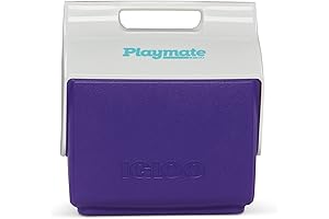 Nordic Purple Igloo Playmate Cooler