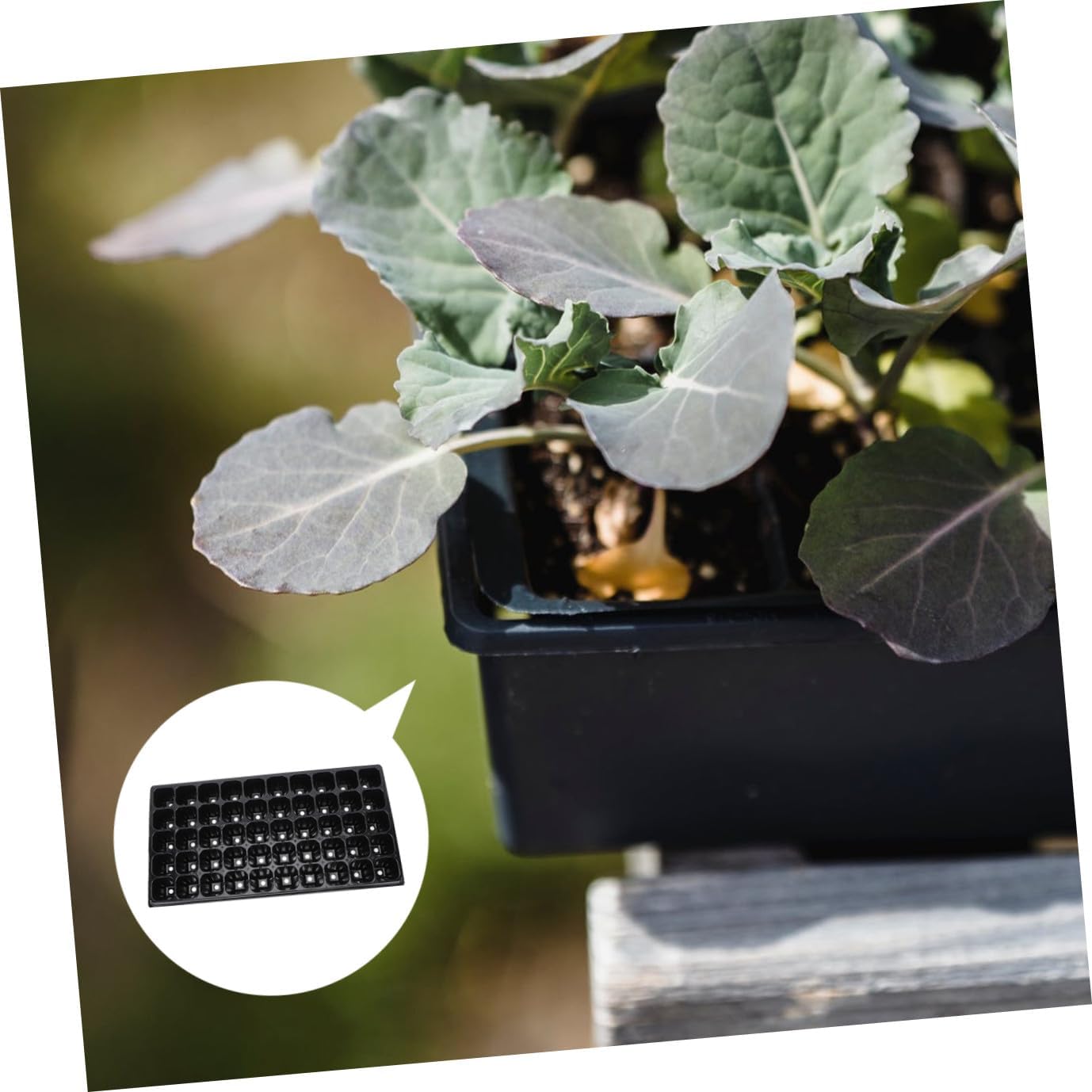 10pcs Heavy Duty Starting Trays Sprouts Growing Kit Tray Plant Germination Box