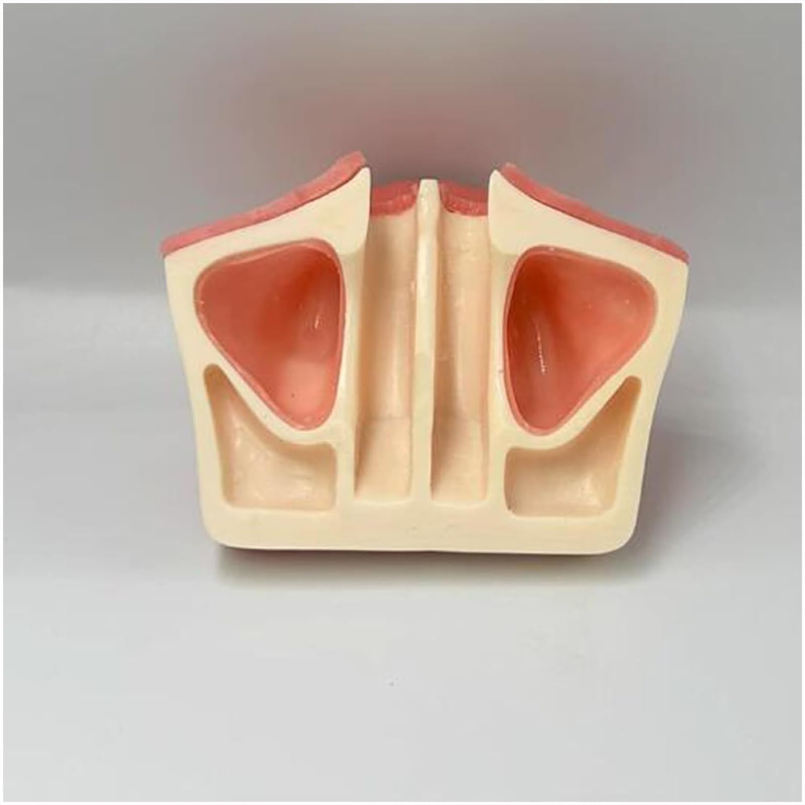 Implantat-Modell Oberkiefer-Sinus-Lift-Übung Weiches Zahnfleisch Oberkiefer-Sinus-Lift-Übungsmodell – Zahnimplantat-Übungsmodell – Orale Simulation Implantat Weiches Zahnfleisch-Zahnmaterial