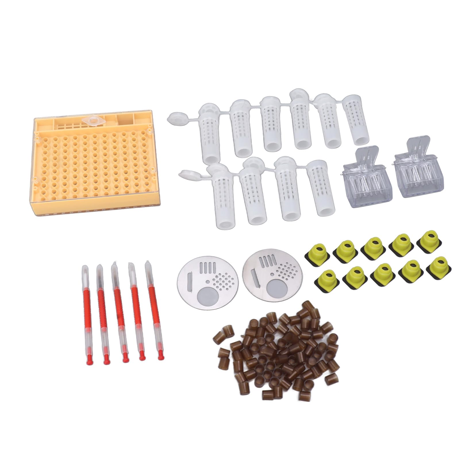 Syst¨¨me D'¨¦Leva de Reine en Plastique, Kit D'apiculture, Fournitures de Greffa de Reine pour Apiculteurs