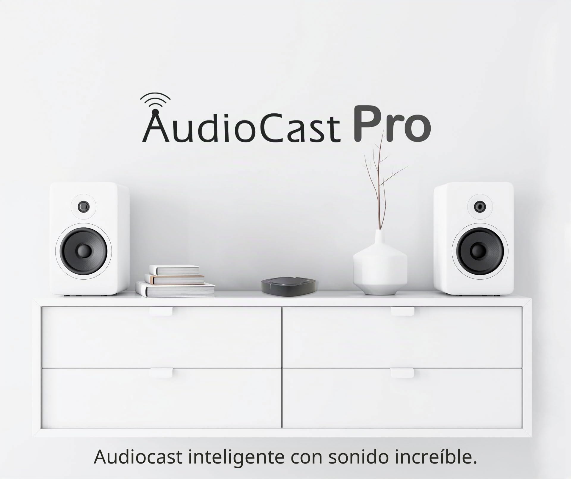 Audiocast Receptor de audio inalámbrico multipieza WiFi Convierte altavoces con cable en AirPlay Compatible con Bluetooth y Ethernet