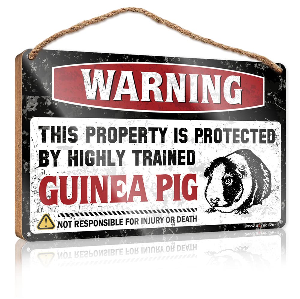 DTHA Wooden Plaques For Crafts Warning This Property Is Protected By A Highly Trained Guinea Pig Wooden Sign Home Wood Sign Door Signs For Home Funny(23X35CM)