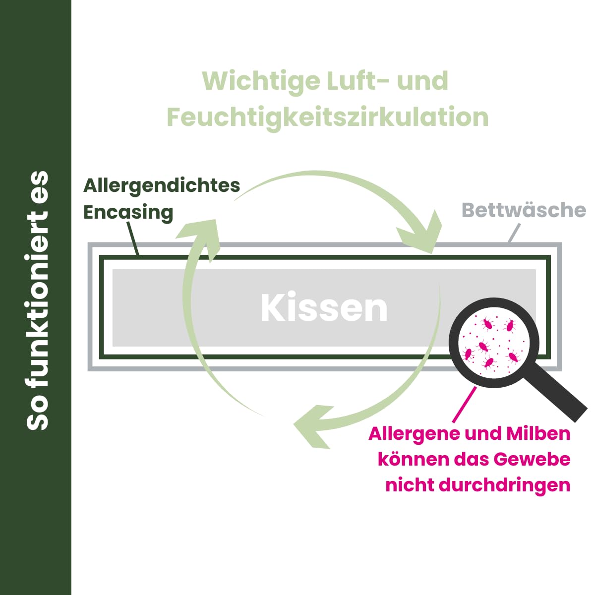 Softsan Kissen Encasing aus Bio Baumwolle | Anti Milben Schutzbezug | Weltneuheit | Viele Größen (Set: 2X 40 x 80 cm Kissenbezug)